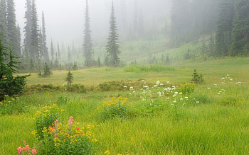 Landscape HD wallpaper