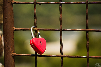 Love, Lock, Fence, Heart, Lattice, Latticed HD wallpaper