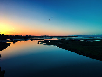Sea Sunset Shore Birds , sea, sunset, shore, birds, nature HD wallpaper