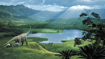 Dinosaur, , Background HD wallpaper