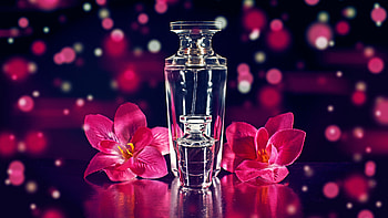 Top perfume, Perfume , Stylish backgrounds, Fragrance visuals HD wallpaper