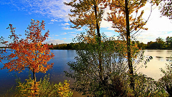 Autumn River, plants, awesome, , colors, reflections, nice, scenery, trees, reflex, mirror, landscape, forests, panorama, leaves, view, nature, leaf, trunks, graphy, high definition, scenic, autumn, , amazing, , water, scene, surface, beautiful, seasons, branches, cool, clouds, sky, rivers HD wallpaper