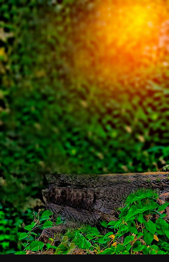 Picsart Background Picsart Blur HD phone wallpaper