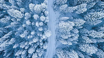 A mesmerizing aerial perspective of a snowy winter forest with a winding path. HD wallpaper