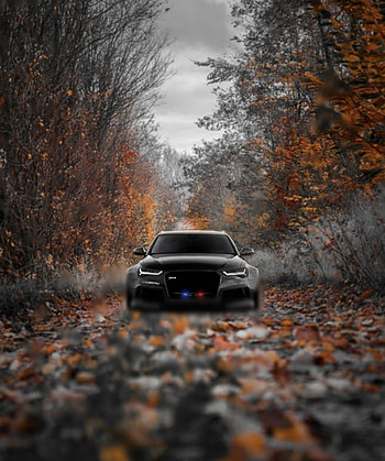 Audi, cloud, sky, forest HD phone wallpaper