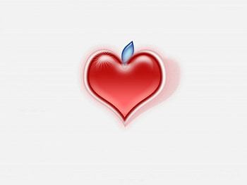 Apple love, hearts, love HD wallpaper