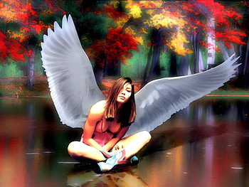 angel girl, girl, forest HD wallpaper