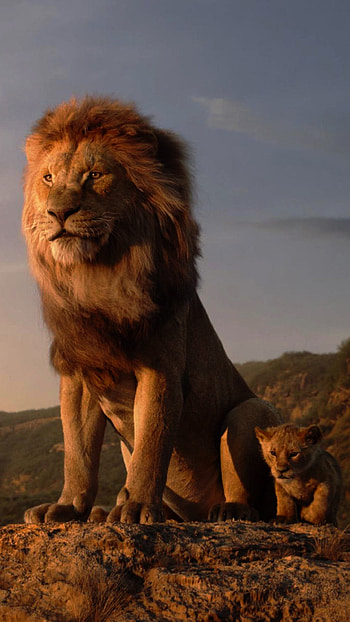 The Lion King 2019, Samsung Galaxy S6 HD phone wallpaper