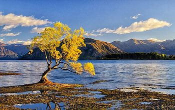 lake, nature, tree, beauty HD wallpaper