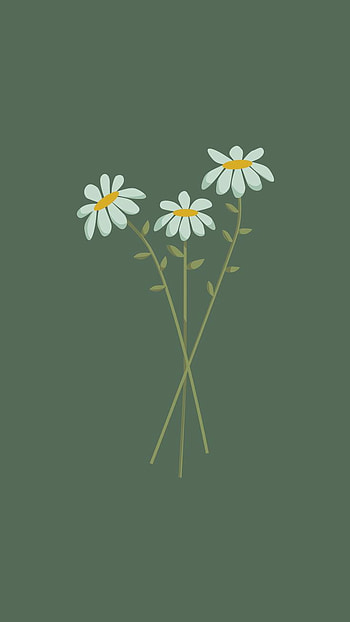 Daisy flower, daisy_family, art HD phone wallpaper