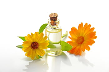 A glass bottle of aromatic oil with chamomile flowers on a white background. HD wallpaper