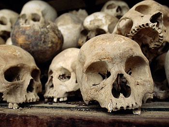 Cambodia Killed Skulls, abstract, graphy, interesting, skulls HD wallpaper