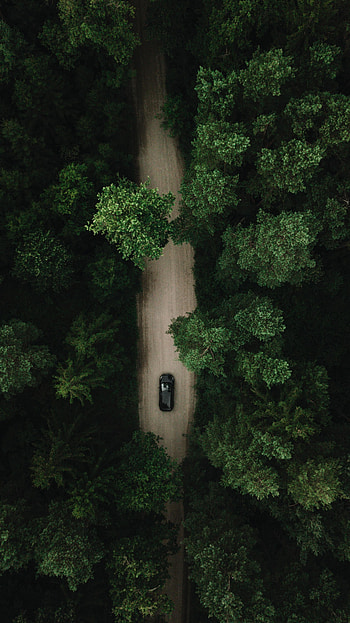 Nature, Trees, View From Above, Road, Forest, Car, Machine HD phone wallpaper