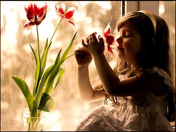 Little Girl, girl, people, little, flower HD wallpaper
