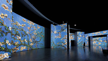 Van Gogh Alive, Florence exhibition, Interactive art, Italian leisure HD wallpaper