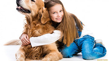 cute girl, dog, cute, girl, smile HD wallpaper