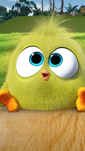 Angry Birds, Big Eyes, Little Birds HD phone wallpaper