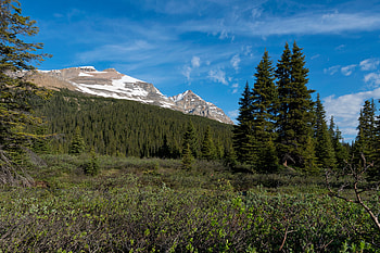 Landscape, Nature, Mountains, Parks, Bush, Canada, Forest HD wallpaper