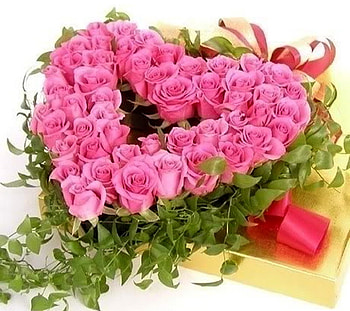 Love in bloom, ivy, love, pink roses, gift, heart shape, valentines day HD wallpaper