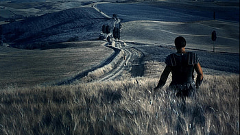 gladiator, grass, field, maximus HD wallpaper