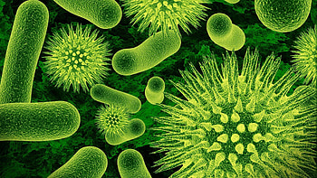 Biology wonders, High-definition beauty, Captivating , Scientific backgrounds HD wallpaper