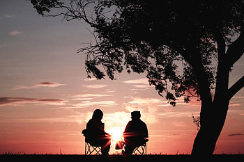 Sunset, Sun, Miscellanea, Miscellaneous, Wood, Beams, Rays, Tree, Silhouettes HD wallpaper