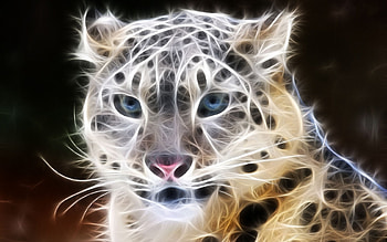 Animals, Leopards HD wallpaper