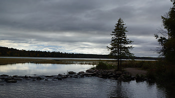Nature, Stones, Horizon, Lake, Wood, Tree, Spruce, Fir HD wallpaper