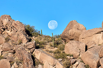 Landscape, Nature, Cactuses, Moon, Rocks HD wallpaper