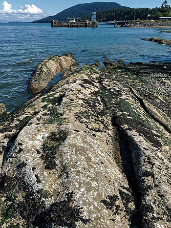Scouting trip, Lummi Island charm, Island exploration, Natural wonders HD phone wallpaper