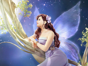 night_fairy, amit, omdave, matu, hrdave HD wallpaper