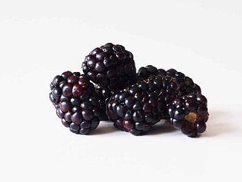 Blackberry, Ideal for babies, First foods, Solid starts HD wallpaper