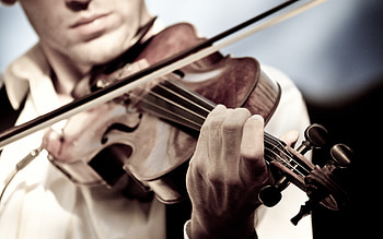 Violin , Musical artistry, Captivating strings, Harmonious composition HD wallpaper