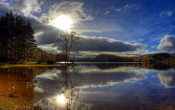 Nature, Rivers, Trees, Evening HD wallpaper