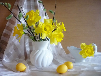 Flowers, still life, white, graphy, yellow, vase, nature, eggs HD wallpaper