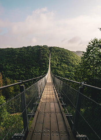 A scenic view of the Geierlay Bridge in Mörsdorf, Germany amidst a lush forest. HD phone wallpaper