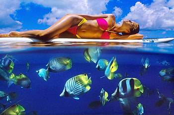 Aquarium, surfing, fishes, manipulation, model, bikini, people, pink, yellow, sky, female HD wallpaper