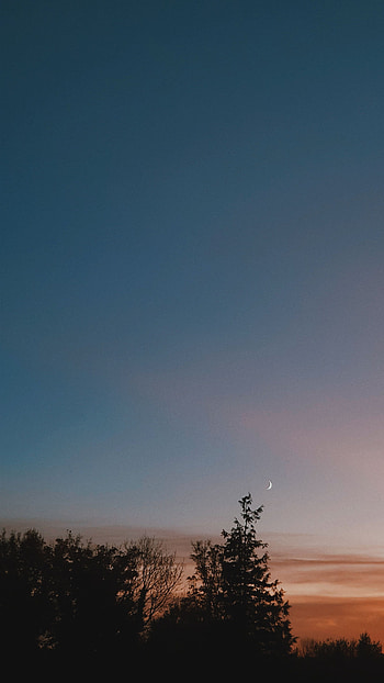  HD phone wallpaper