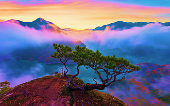 Jecheon, South Korea, fog, sky, peaks, landscape, clouds, trees HD wallpaper