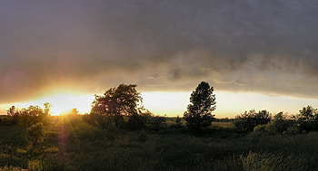 Nature, Trees, Sunset, Sun, Horizon, Evening, Polyana, Glade, Despondency, Outline HD wallpaper