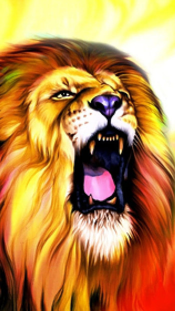 Fire Lion, Lion Roar HD phone wallpaper