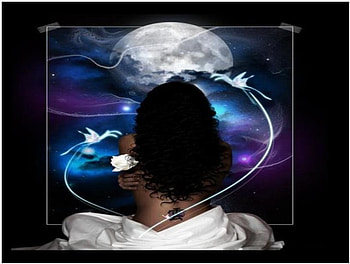 Fantasy Moon, full moon, white rose, butterflies, fantasy woman HD wallpaper