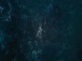 Nature, Water, Waves, View From Above, Ocean, Swimmers HD wallpaper