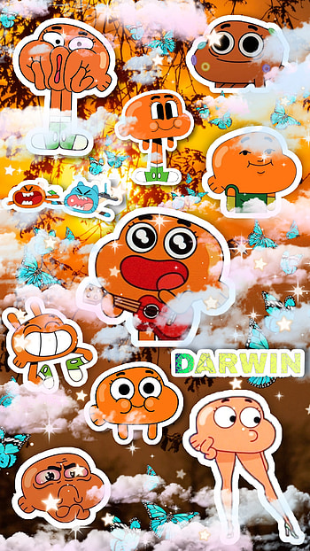 Darwin, orange, fish HD phone wallpaper