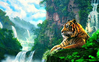 Tiger on scooter, Unexpected delight, Captivating , Playful tiger HD wallpaper