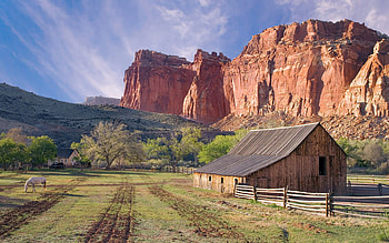 Fruita Capitol Reef National Park, Utah, animal, horse, field, canyon, house, sky, nature HD wallpaper