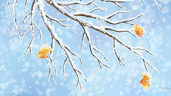 Autumns Last Leaves, blue, winter, fall, cold, tree, leaves, snow, snowing, autumn, sky HD wallpaper