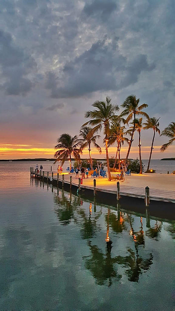 Key West travels, Florida Keys HD phone wallpaper