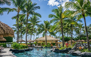 Relaxing tropical resort scene with palm trees, swimming pool, and clear blue sky. HD wallpaper