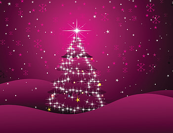 Christmas Day , star, shining, wonderful, christmas tree HD wallpaper